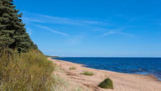 Stranddünen